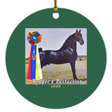 WGC RODGERS PERFECTION SUBORNC Circle Ornament