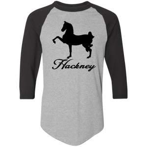 HACKNEY DESIGN 1 (black) 4HORSE 4420 Colorblock Raglan Jersey